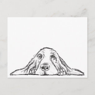 basset hound black white simple puppy dog eyes  postcard