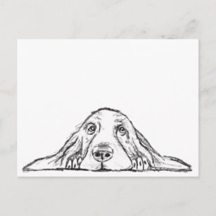 basset hound black white simple puppy dog eyes  postcard