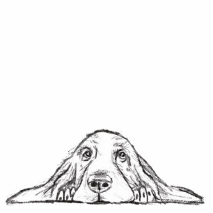 basset hound black white simple puppy dog eyes standing photo sculpture