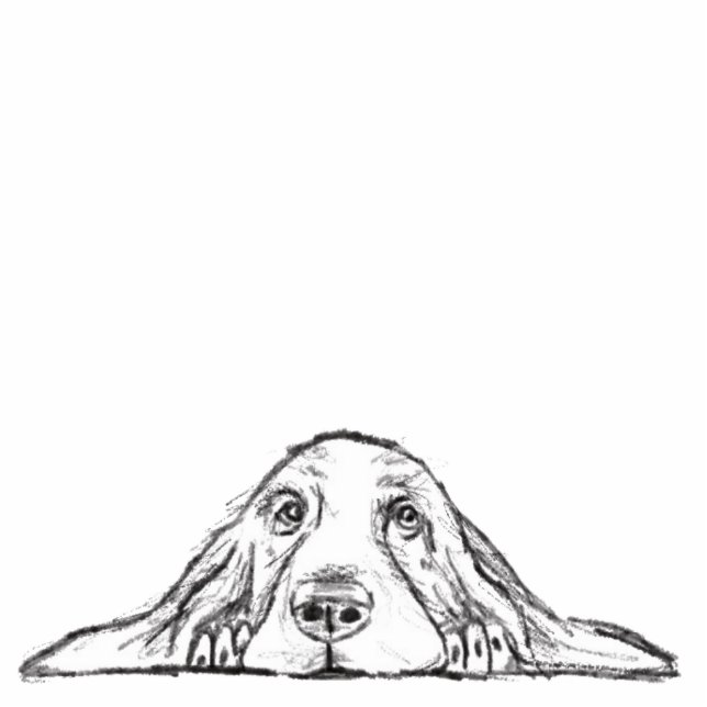 basset hound black white simple puppy dog eyes  standing photo sculpture (Front)