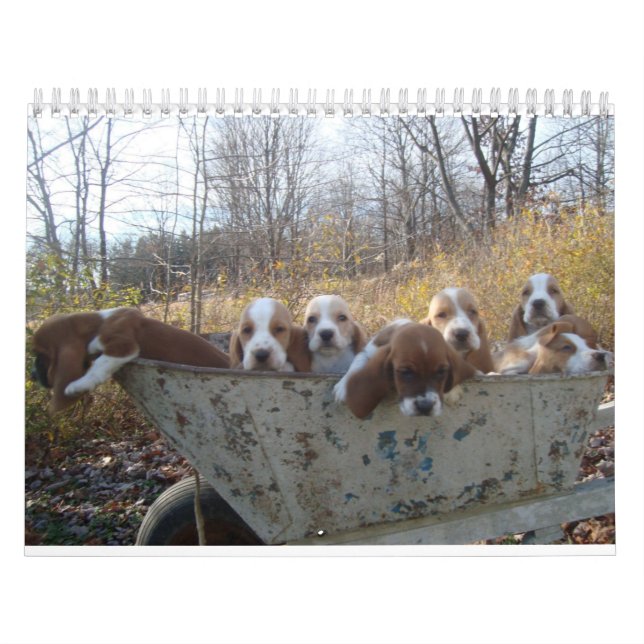 Basset hound Calendar (Cover)