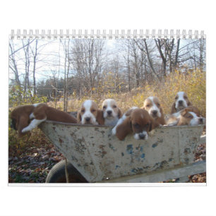 Basset hound Calendar