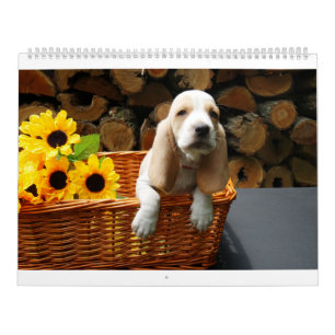 Basset hound calendar