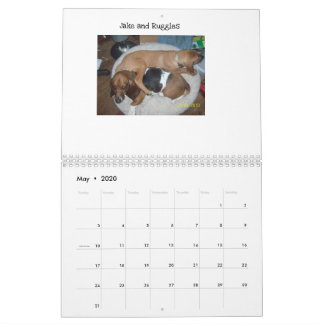 Basset hound calendar