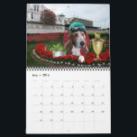 Basset Hound Calendar<br><div class="desc">Humourous 2017 Calendar featuring "Holmes" the Bassett Hound. The perfect gift for all pet lovers! Follow Holmes as he celebrates the dog days of summer all year long!</div>