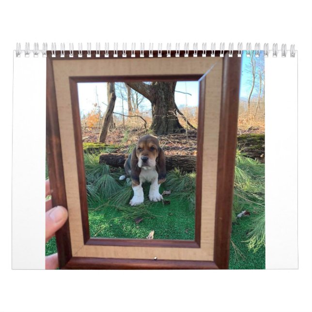 Basset hound calendar (Cover)