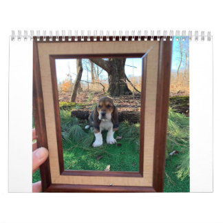 Basset hound calendar