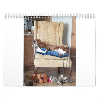 Basset hound calendar 24 months