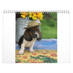 Basset hound calendar featuring Tiny E