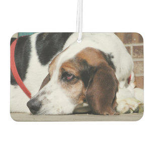 Basset Hound Car Air Freshener