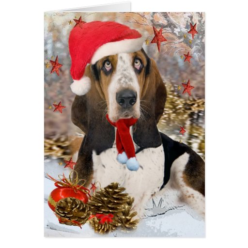 Basset Hound Christmas Portrait Greeting Cards | Zazzle