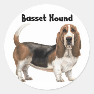 Basset Hound Classic Round Sticker