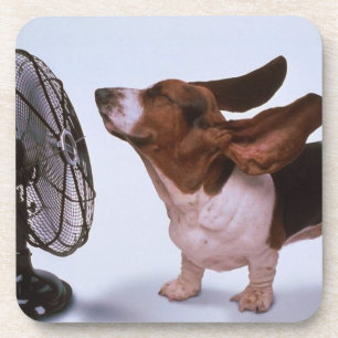 Basset Hound coaster