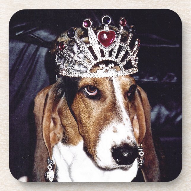 Basset Hound Coaster Set of 6 (Front)
