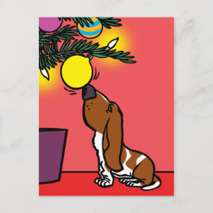 BASSET HOUND CURIOSITY POSTCARD