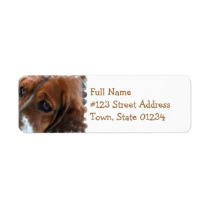 Basset Hound Design Mailing Label