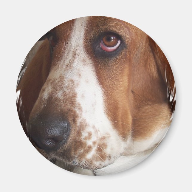 Basset Hound Dog Circular Magnet (Front)