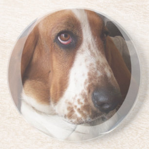 Basset Hound Dog Coasters