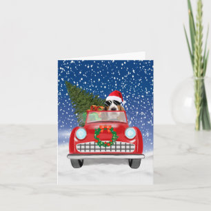 Basset Hound Dog Driving Car In Snow Christmas   Card