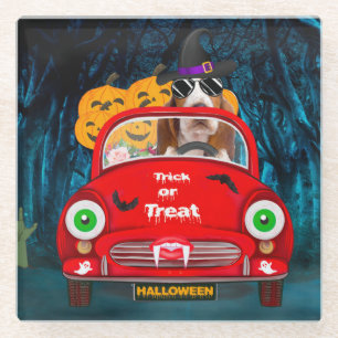 Basset Hound Dog Driving Car Scary Halloween  Glass Coaster