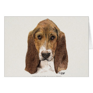 Basset Hound Dog, Watercolor