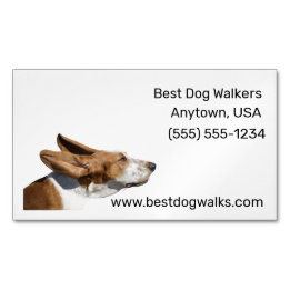 Basset Hound Ears Flapping in Wind Dog Walker Magnetic Business Card