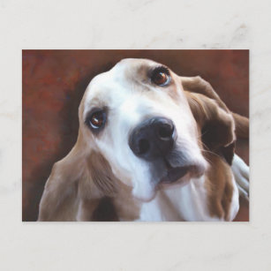 Basset Hound Fine Art Painting Portrait Postcard