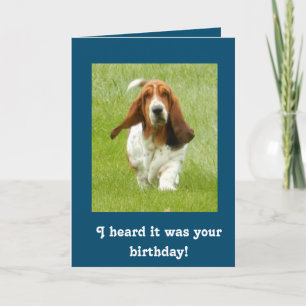 Basset Hound funny card