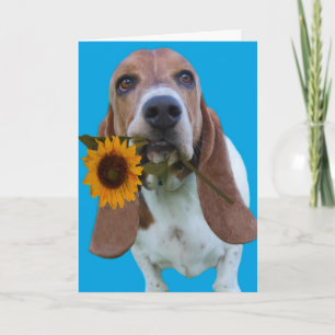 Basset Hound Get Well Card