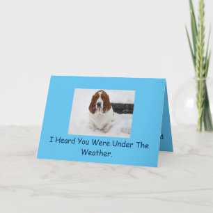 Basset Hound get well card. Card