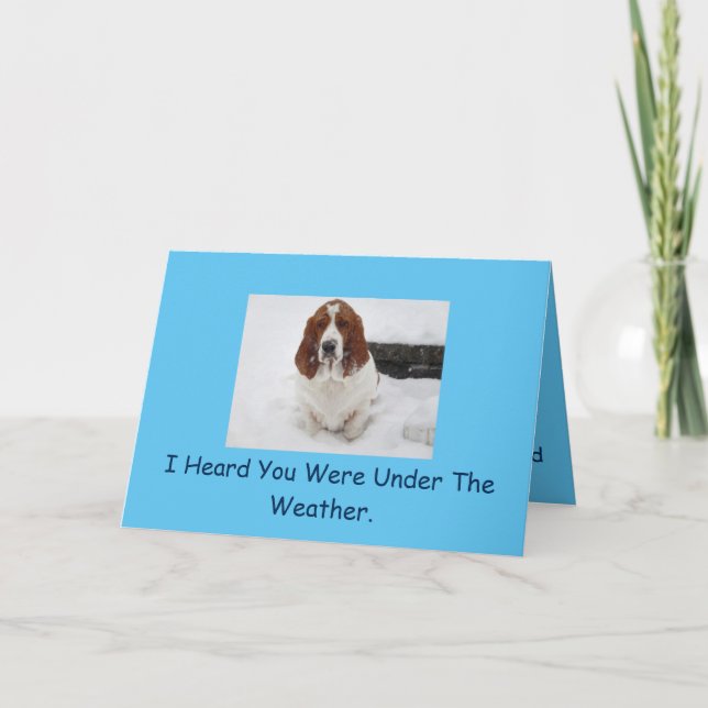 Basset Hound get well card. Card (Front)