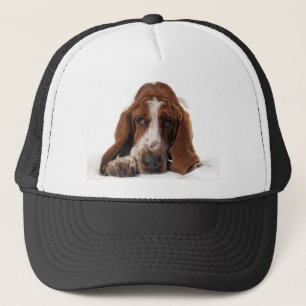 Basset Hound Hat