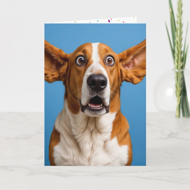 Basset Hound Humourous Birthday Card (Front)