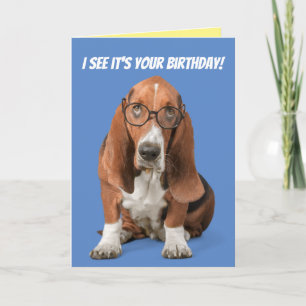 Basset Hound I See It's Your Birthday Card