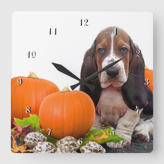 Basset Hound in pumpkins dog square clock (Front)