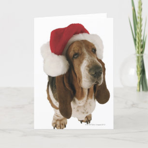 Basset Hound in Santa Hat Holiday Card
