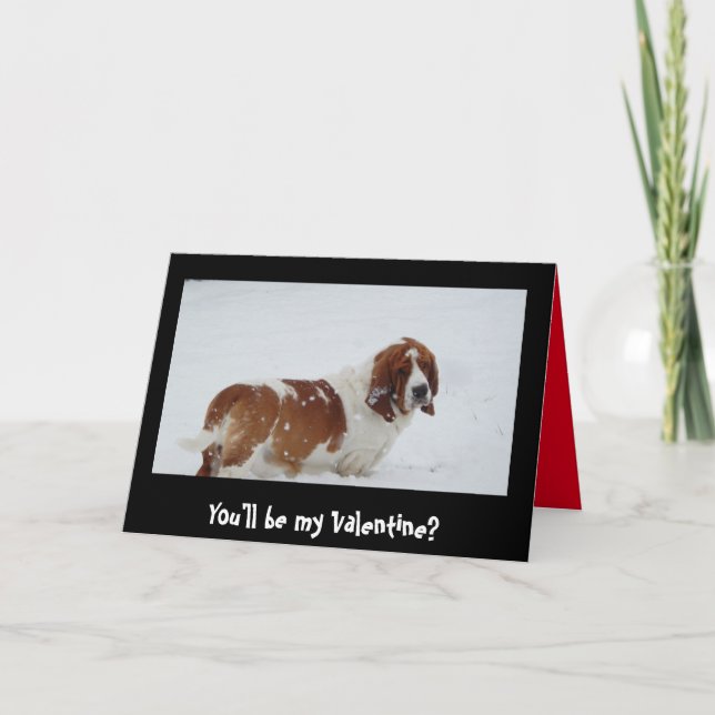 Basset hound in snow on Valentine's Day card (Front)
