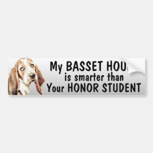 Basset Hound is smarter than honour student - Bumper Sticker