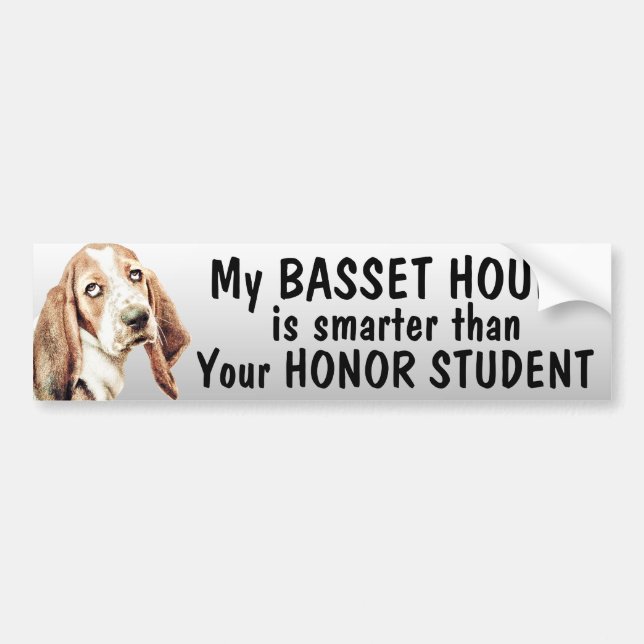 Basset Hound is smarter than honour student - Bumper Sticker (Front)