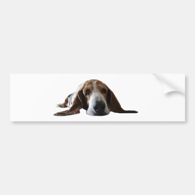Basset Hound lying down Bumper Sticker (Front)