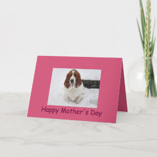Basset Hound Mother's Day card