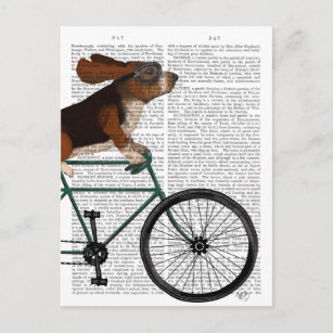 Basset Hound on Bicycle Postcard