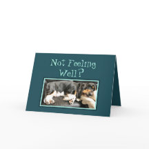 Basset Hound on Funny "Get Well" Card
