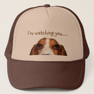 Basset Hound peeking in Trucker Hat