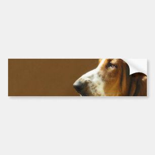 Basset Hound Photo Bumper Sticker 