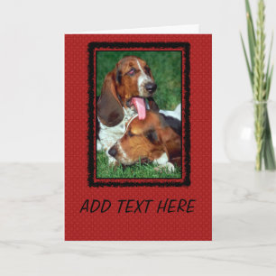 Basset Hound Photograph Card