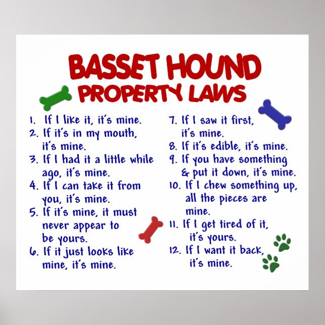 BASSET HOUND PL2 POSTER (Front)