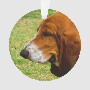 basset-hound.png ornament