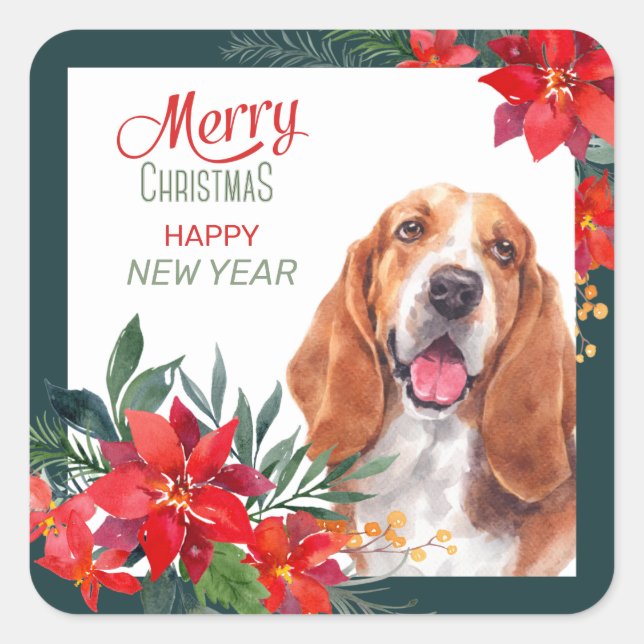 Basset Hound Poinsettia Border Christmas Square Sticker (Front)