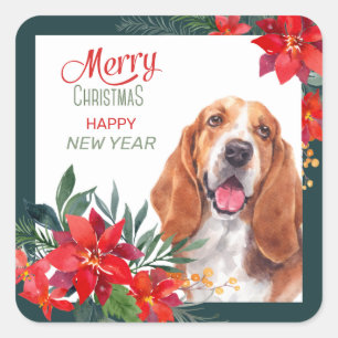 Basset Hound Poinsettia Border Christmas Square Sticker